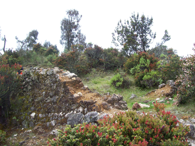 Mengintip Jejak Situs Purbakala Hindu Tertinggi di Pulau Jawa di Gunung Argopuro (27440)