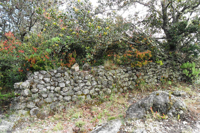 Mengintip Jejak Situs Purbakala Hindu Tertinggi di Pulau Jawa di Gunung Argopuro (27443)
