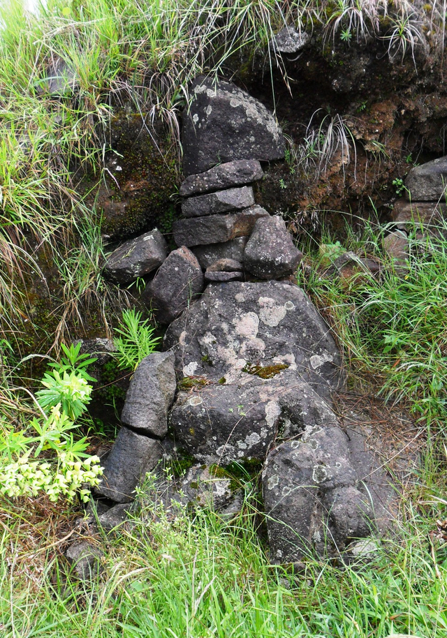 Mengintip Jejak Situs Purbakala Hindu Tertinggi di Pulau Jawa di Gunung Argopuro (27444)
