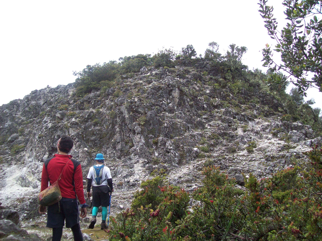 Mengintip Jejak Situs Purbakala Hindu Tertinggi di Pulau Jawa di Gunung Argopuro (27442)