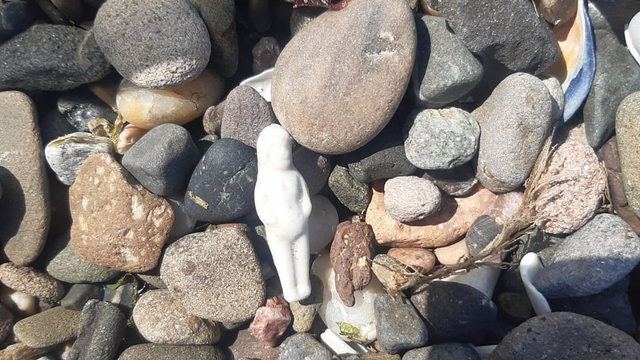 Jalan-jalan ke Pantai, Wanita Ini Malah Temukan Boneka Langka dari Abad ke-19 (23647)