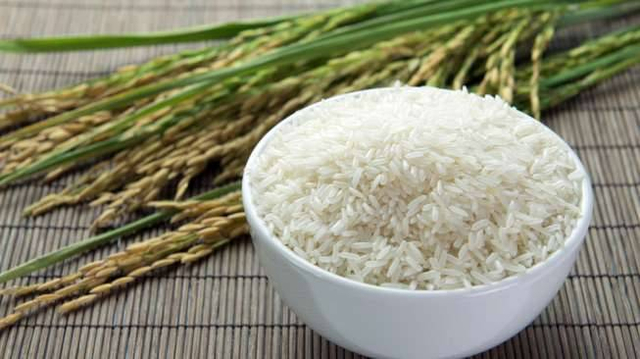 Ilustrasi beras atau nasi. Foto: Shutterstock