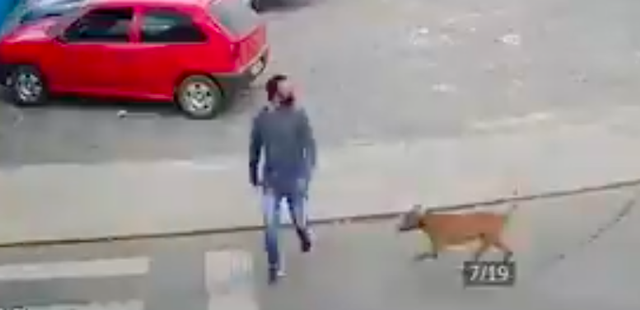 Sedang Menyeberang Jalan, Pria Ini Terjatuh Akibat Ditabrak Anjing (103945)