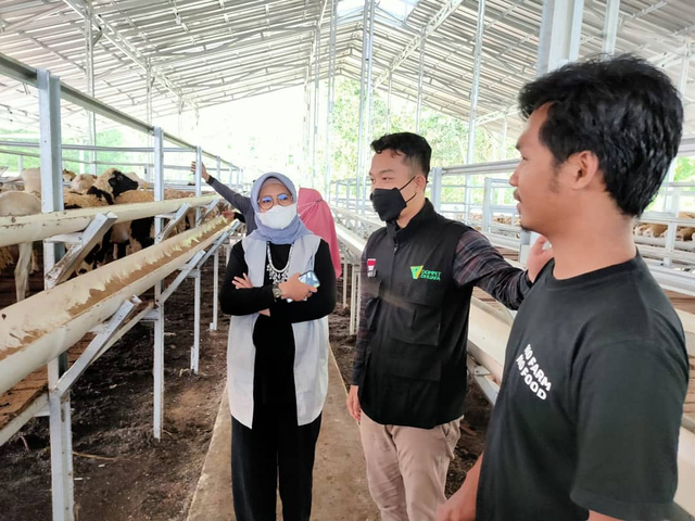 Sambut Tebar Hewan Kurban, DD FARM Siap Hadirkan Hewan Berkualitas Se Lampung (13003)