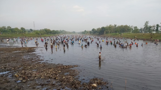 Tradisi tangkap ikan "memetan" di Desa Sonorejo, Kecamatan Padangan, Kabupaten Bojonegoro. Minggu (13/06/2021)