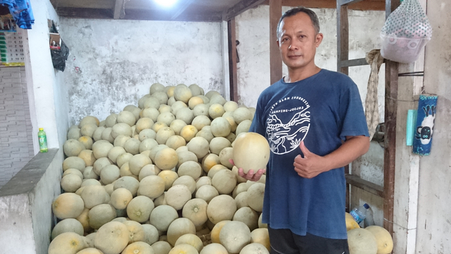 Di Balik Layar Perdagangan Melon: dari Klaten Dibilang Lebih Enak (766823)