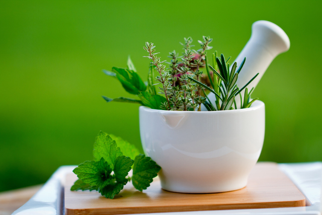 Ilustrasi Contoh Tanaman Obat Herbal. Foto: Shutterstock