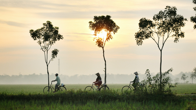 Ilustrasi Nuansa di Kampung Halaman. Kredit Foto: Photo by Dikaseva on Unsplash