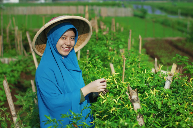 Mengenal Sosok Rizki Hamdani, Penggagas Kelompok Santri Tani Milenial (131953)