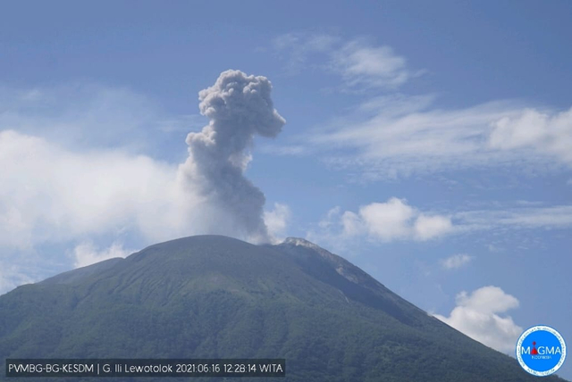 Gunung Ile Lewotolok sedang mengeluarkan material vulkanik dengan tinggi kolom abu mencapai 1.000 meter dari pusat kawah. Foto : Istimewa