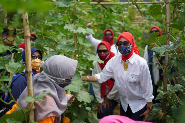 Pemkot Malang yang mulai menggaungkan budaya urban farming mulai tingkat RT/RW hingga wilayah perkantoran. (Foto: Pemkot Malang)