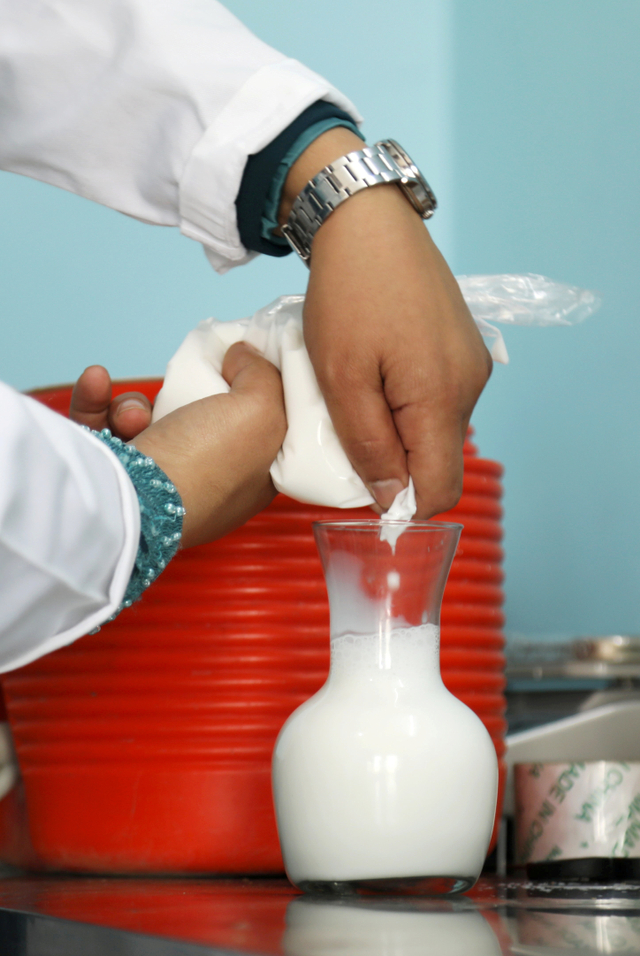 Lara al-Titi, menuangkan susu unta untuk memproduksi sabun susu unta di Irbid, Yordania. Foto: Alaa Al Sukhni/REUTERS