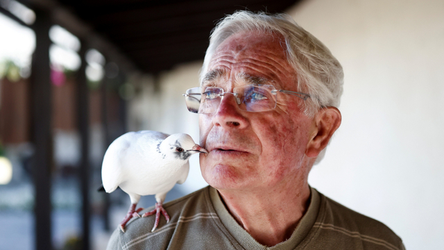 Potret kebersamaan lansia di Prancis bersahabat dengan burung merpati. Foto: REUTERS/Stephane Mahe