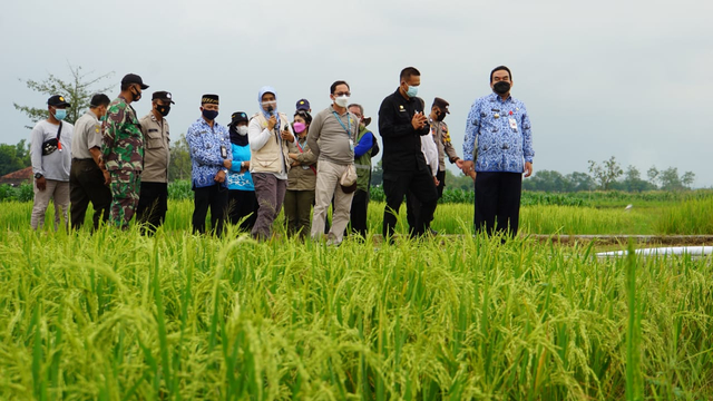 Kepala Balitbangtan, Kementerian Pertanian RI, Dr Ir Fadjry Djufry MSi, saat laksanakan kunjungan kerja di Kabupaten Blora. Kamis (17/06/2021) (foto: istimewa)