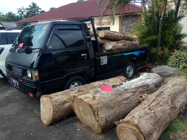 Petugas Polres Kuningan mengamankan barang bukti mobil pikap beserta belasan batang pohon kayu jenis sonokeling. (Andri Yanto)