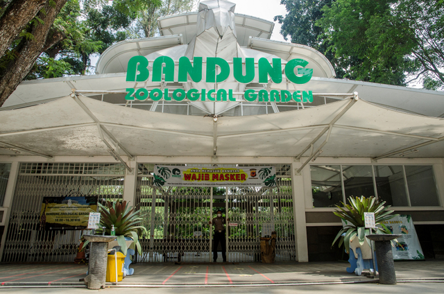 Suasana kebun binatang Bandung kembali ditutup. Foto: ANTARA FOTO/Novrian Arbi