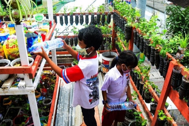 Afiqah Mutiara Tungga Dewi, siswi SD kelas 1 di Surabaya, bersama sang kakak sedang merawat tanaman melatinya. Foto-foto: Masruroh/Basra