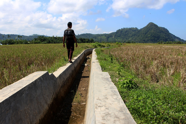 Kondisi sawah dan jaringan irigasi yang mengering di Desa Koto Panjang, Koto Nan Tigo Selatan, Kecamatan Sutera, Kabupaten Pesisir Selatan, Sumatera Barat. Foto: dok warga Sutera