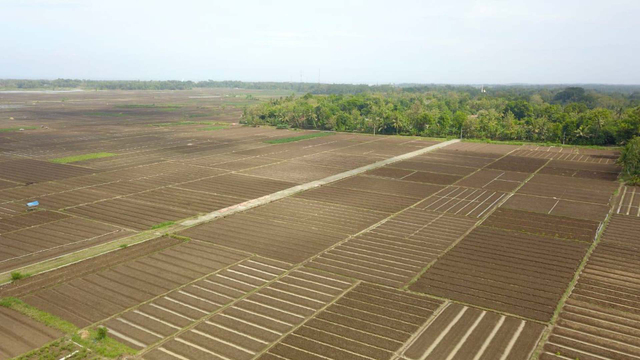 Food Estate adalah Keniscayaan Bagi Negara Agraris (336750)