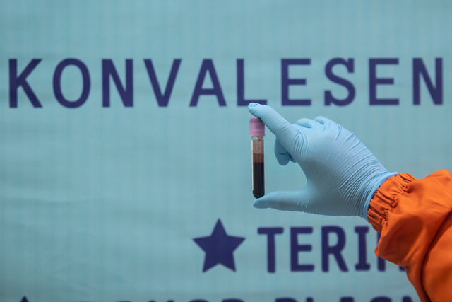 Perawat menunjukan darah milik pasien sembuh COVID-19 untuk dijadikan sampel plasma konvalesen di Unit Donor Darah (UDD) PMI DKI Jakarta, Senin (21/6).  Foto: Muhammad Adimaja/ANTARA FOTO