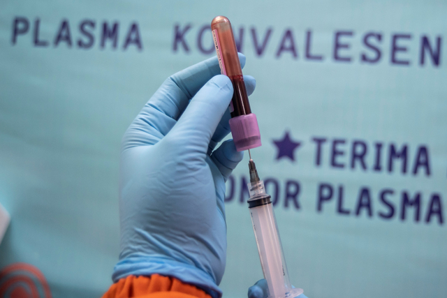 Ilustrasi: Perawat memasukkan darah milik pasien sembuh COVID-19 ke dalam tabung vacutainer untuk dijadikan sampel plasma konvalesen di Unit Donor Darah (UDD) PMI DKI Jakarta, Senin (21/6/2021).  Foto: Muhammad Adimaja/ANTARA FOTO