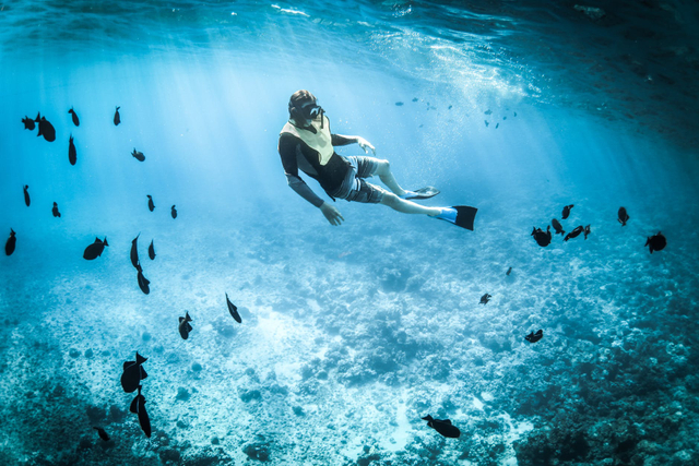 Ilustrasi kegiatan snorkeling untuk menjawab pertanyaan seputar apa itu snorkeling. Foto: Miles Hardacre/pexels