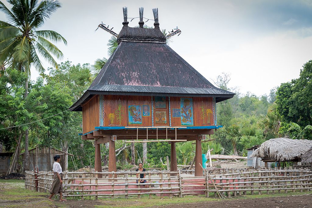 Rumah Adat Timor Leste 6690