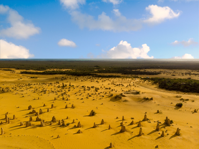 Pinnacles Desert, Perth Australia Barat Foto: dok Tourism Western Australia