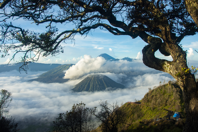 Bromo Punya Banyak Kenangan. Gambar oleh iqbal nuril anwar dari Pixabay