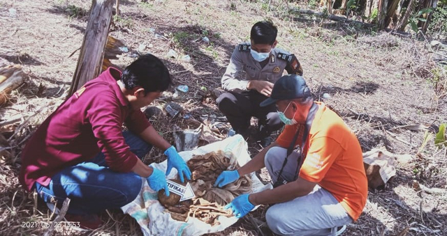 Polisi melakukan olah TKP penemuan rangka manusia terbungkus kain kafan di Lingkungan Timbu, Kabupaten Mamuju, Sulawesi Barat. Foto: Dok. Polresta Mamuju