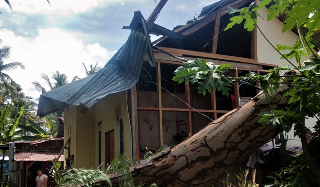 2 Unit Rumah di Padang Tertimpa Pohon, Beruntung Penghuni Selamat (816261)
