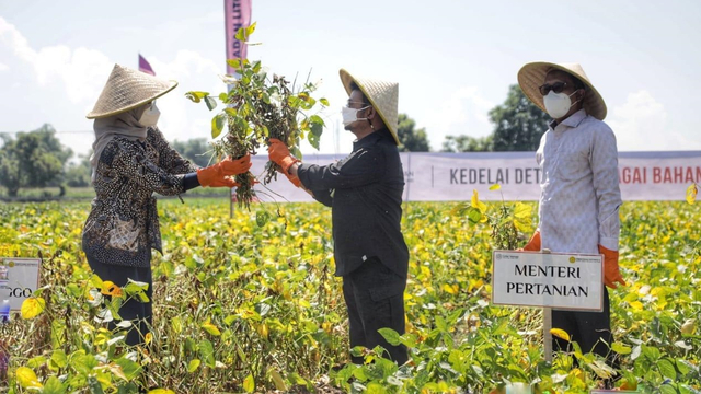 Dari Jawa Timur, Mentan SYL Tegaskan: Bertani Itu Hebat (922564)