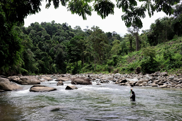 Foto: Cicipi Ikan Sungai Terenak Sambil Tamasya, Alasan Traveler Harus ke Sini (79326)
