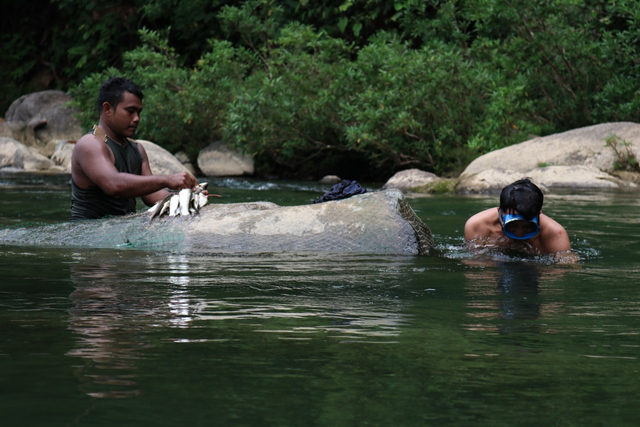 Foto: Cicipi Ikan Sungai Terenak Sambil Tamasya, Alasan Traveler Harus ke Sini (79329)