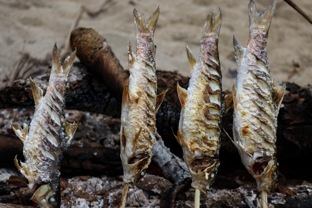 Foto: Cicipi Ikan Sungai Terenak Sambil Tamasya, Alasan Traveler Harus ke Sini (79333)