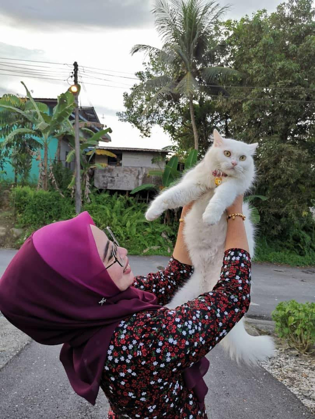 Viral seorang wanita di Malaysia bernama Nur Hamizah Had sukses merawat kucing liar penyakitan menjadi hewan menggemaskan. (Foto: Facebook/@Nur Hamizah Had)  