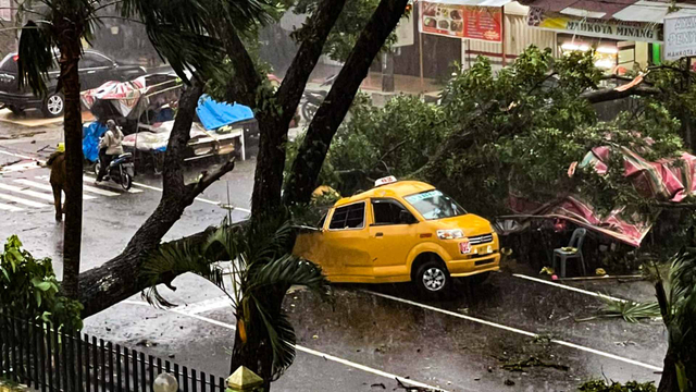 Angkot di depan RSUP Adam Malik tertimpa pohon tumbang. Foto: Dok. Istimewa