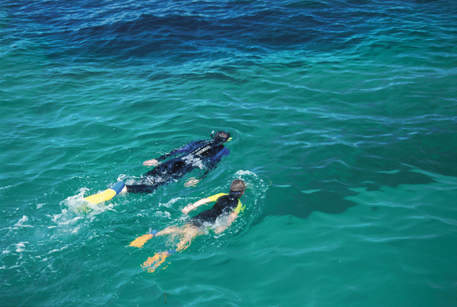 5 Destinasi Seru di Coral Coast untuk Para Petualang (257736)