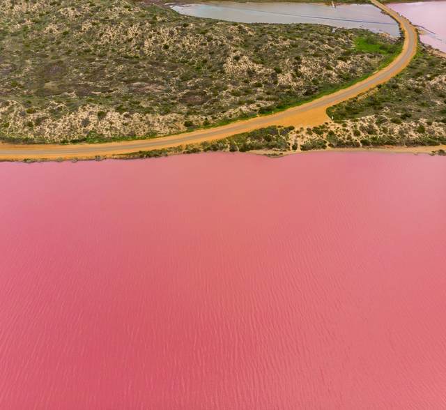 Pink Lake di Australia Barat. Foto: Dok. Tourism Western Australia