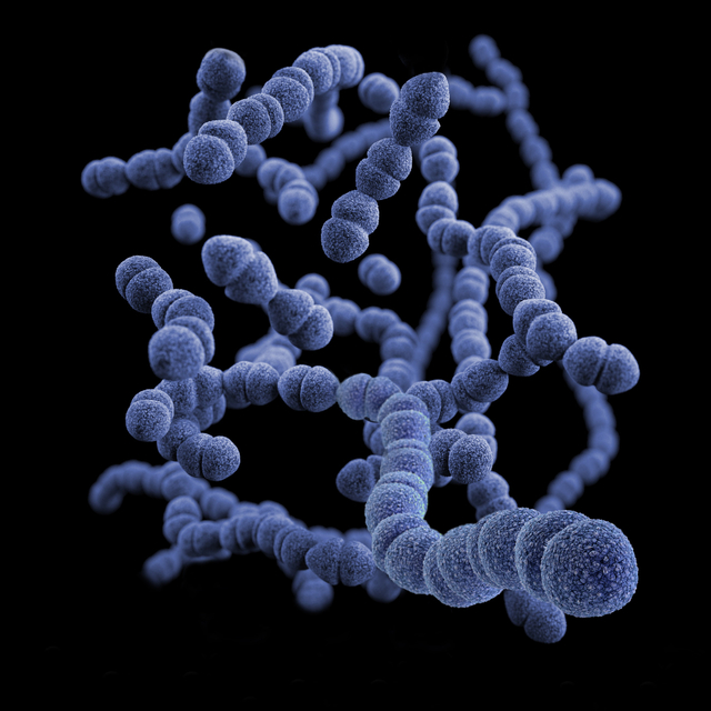 Ilustrasi bakteri menguntungkan bagi manusia, sumber foto: https://unsplash.com/