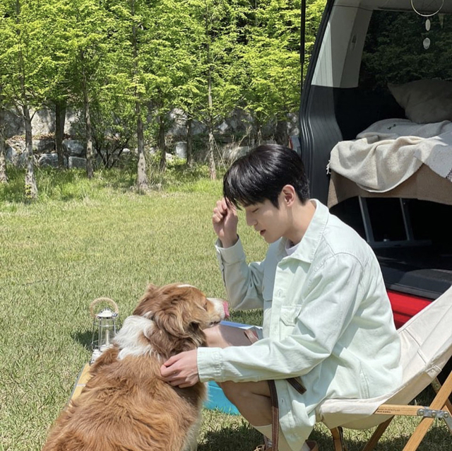 Taeyong nama anjing Biodata Taeyong