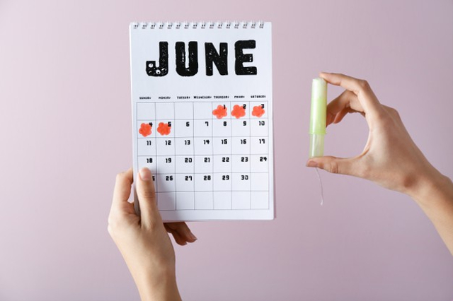 Ilustrasi Kalender Masa Subur. Foto: Freepik
