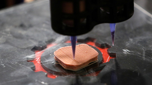 Steak Vegan yang dibuat menggunakan printer 3D. Foto: REUTERS/Albert Gea