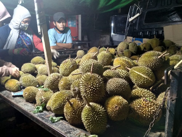 Durian dari Kalbar mulai marak di Taman Kota. Foto: Fiyya/InfoPBUN.