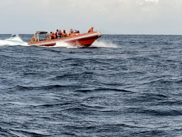 Tim SAR Bali masih terus melanjutkan pencarian korban tenggelamnya KMP Yunicee di Selat Bali - IST