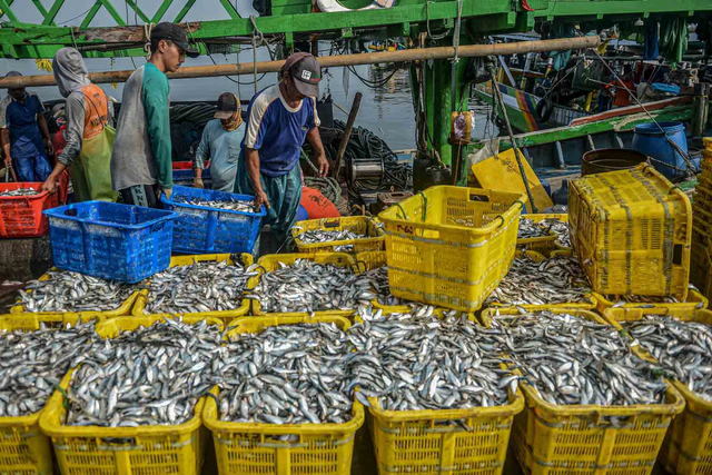 Ikan hasil tangkapan nelayan saat tiba di Dermaga Pelabuhan Muara Angke, Jakarta Utara, Selasa (6/7/2021). Foto: ANTARA FOTO/M Risyal Hidayat