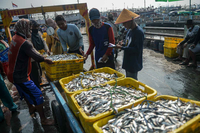 Nelayan sibuk membongkar muat ikan yang tiba di Dermaga Pelabuhan Muara Angke, Jakarta Utara, Selasa (6/7/2021). Foto: ANTARA FOTO/M Risyal Hidayat