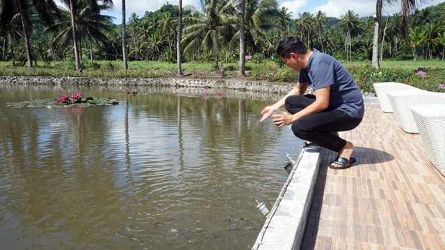 Bupati Minut, Joune Ganda, mengisi waktu luangnya di akhir pekan, dengan memberikan makan ikan yang dipeliharan di kolam depan rumahnya