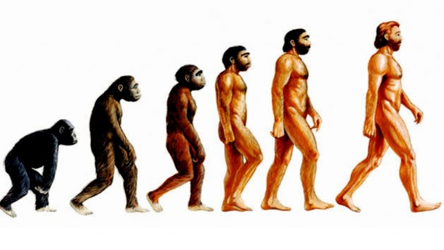 Ilustrasi evolusi jenis manusia purba. Sumber: Portal Informasi Indonesia