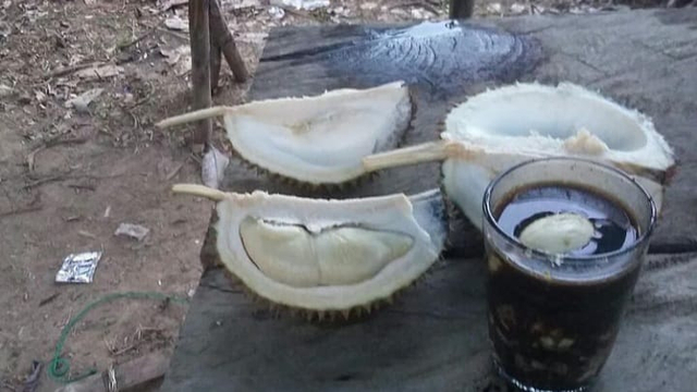 Desa Belimbing di Bangka Tengah Penghasil Durian (165909)